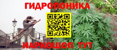 эйфоретик Кандалакша