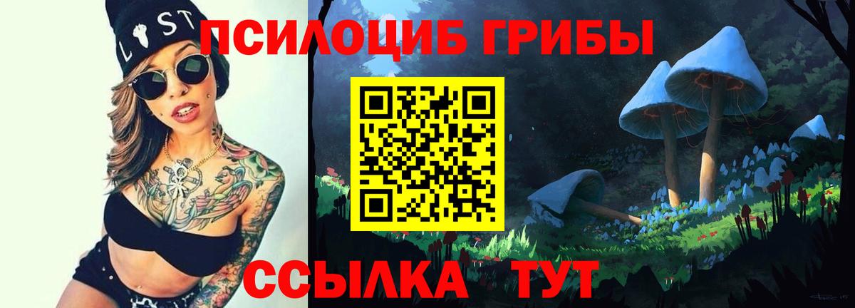 Псилоцибиновые грибы мухоморы  Вход с VPN  Кингисепп  Псилоцибиновые грибы мицелий 